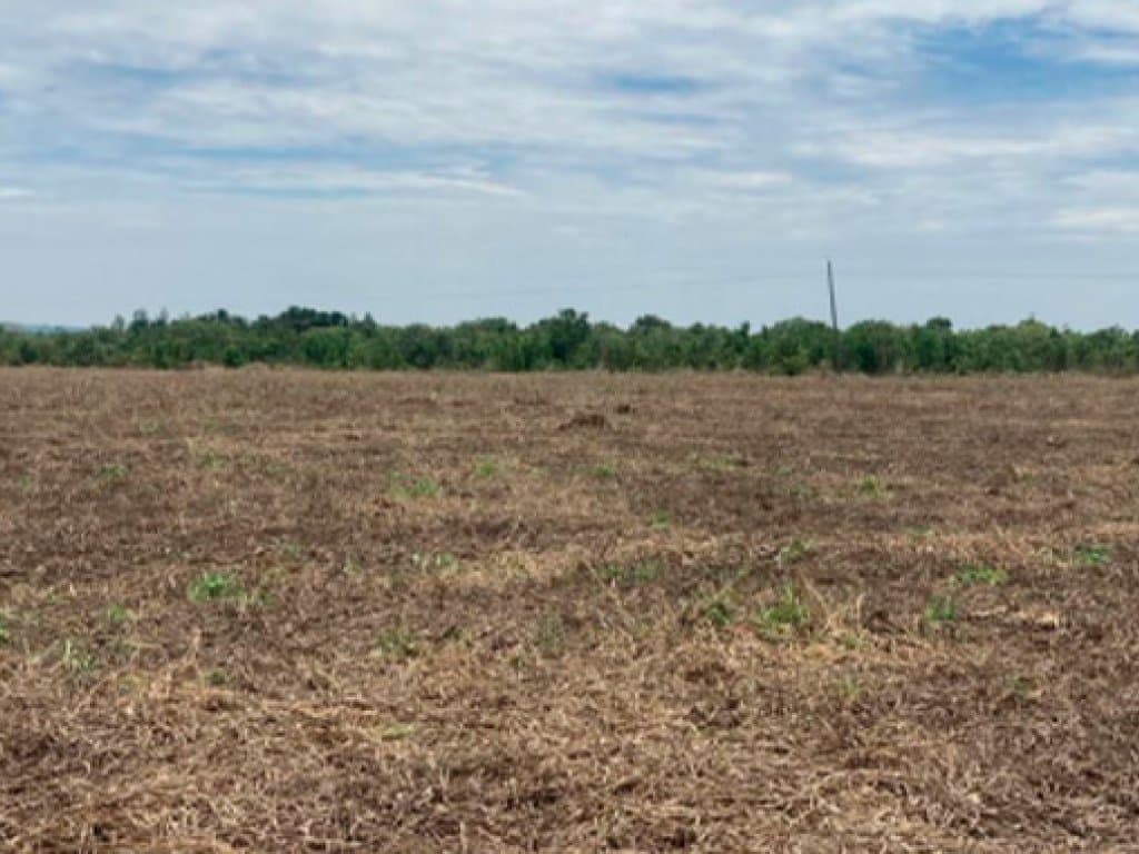 Foto 4 de 9: Area Rural em leilão em Água Boa - MT — Imóvel Rural 1.023 ha (Fazenda Santa Lúcia III) - Água Boa - MT