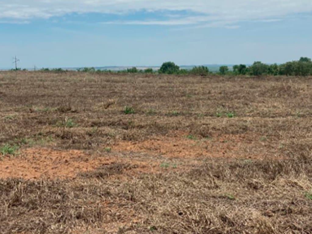 Foto 5 de 9: Area Rural em leilão em Água Boa - MT — Imóvel Rural 1.023 ha (Fazenda Santa Lúcia III) - Água Boa - MT