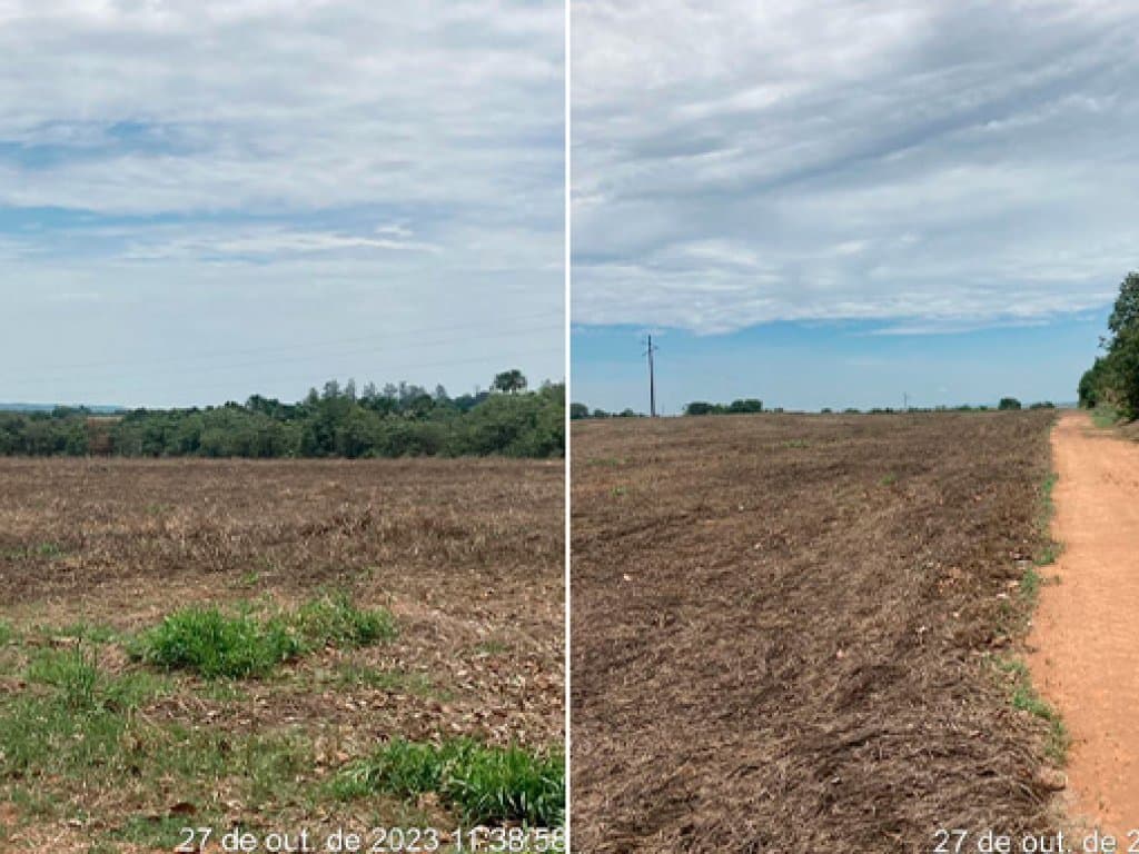Foto 6 de 9: Area Rural em leilão em Água Boa - MT — Imóvel Rural 1.023 ha (Fazenda Santa Lúcia III) - Água Boa - MT