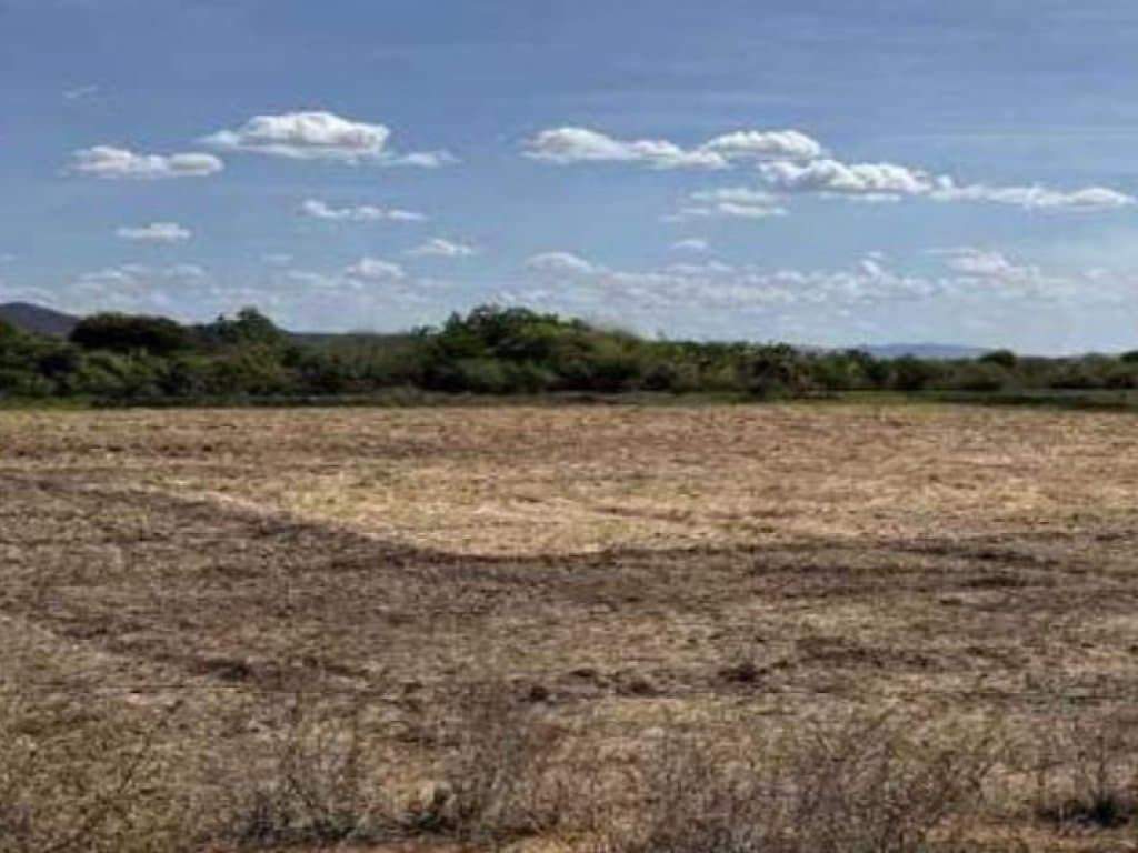 Foto 2 de 2: Area Rural em leilão em Sousa - PB, bairro Zona Rural — Área Rural 6 ha - Sousa-PB - Sítio Barro Vermelho - Zona Rural