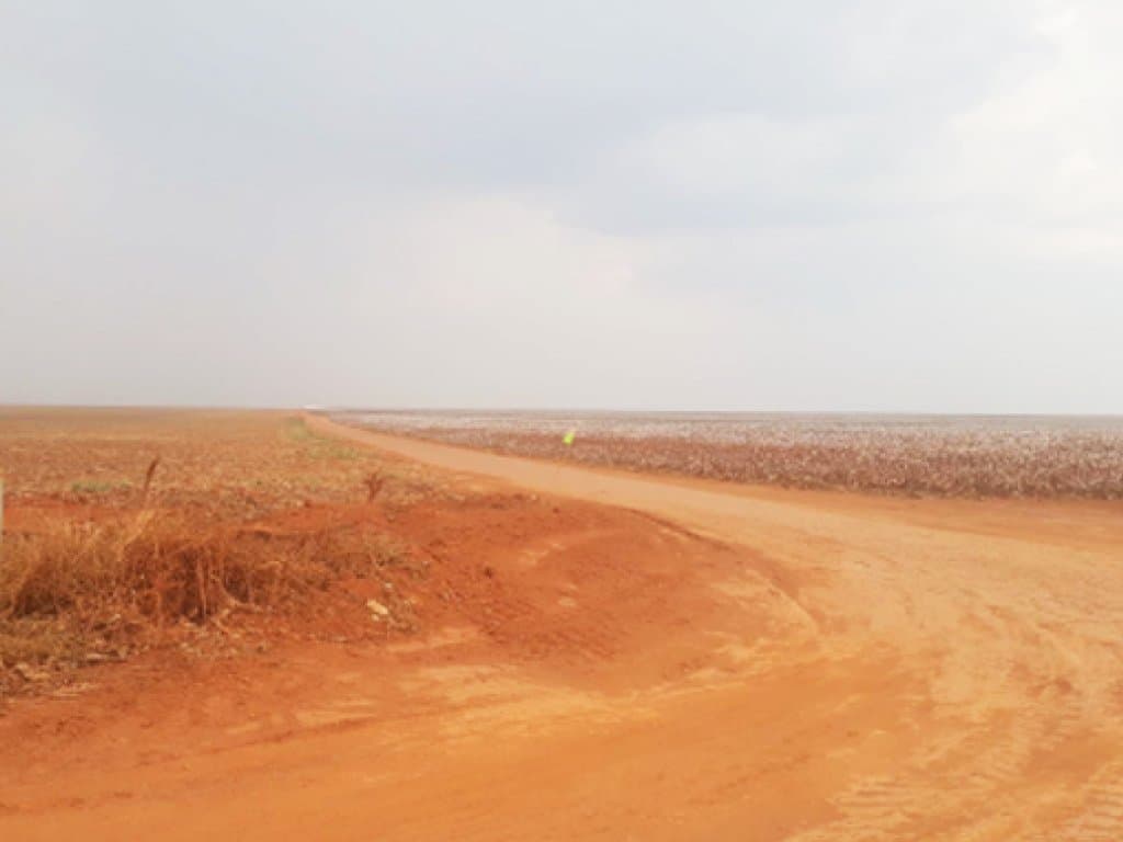 Foto 4 de 4: Area Rural em leilão em Campos De Júlio - MT, bairro Campos de Júlio — Direitos sobre Parte Ideal de Área Rural 195 ha - Fazenda Sabiá - Campos de Júlio - MT