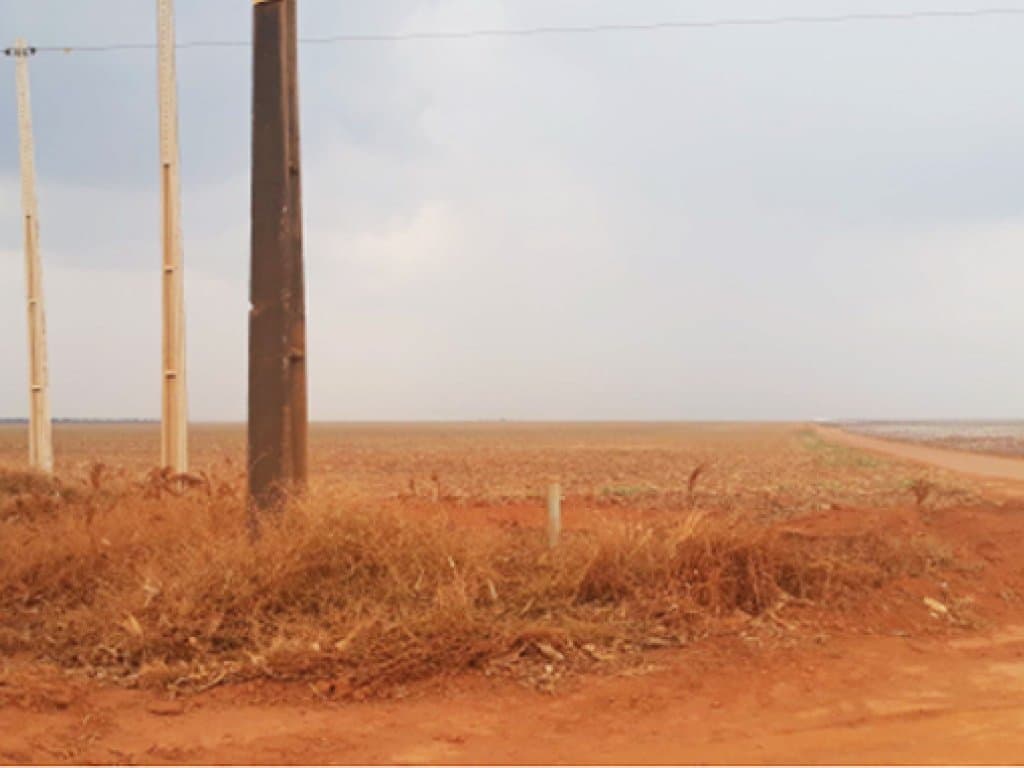 Foto 3 de 4: Area Rural em leilão em Campos De Júlio - MT, bairro Campos de Júlio — Direitos sobre Parte Ideal de Área Rural 195 ha - Fazenda Sabiá - Campos de Júlio - MT