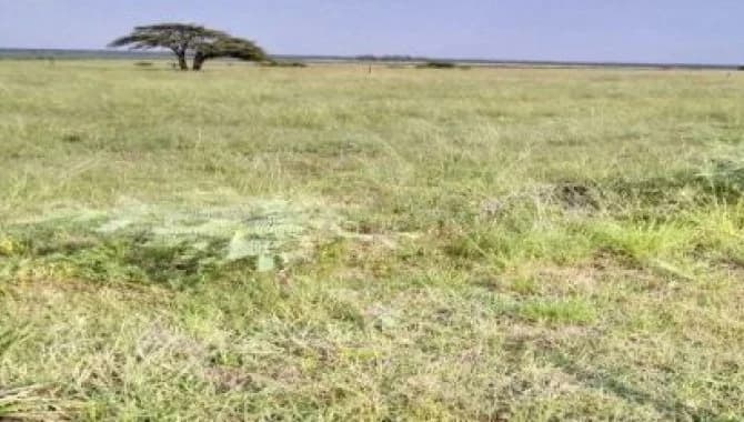 Foto 1 de 2: Area Rural em leilão em Uruguaiana - RS, bairro Imbaá — Área Rural 38 ha - Uruguaiana-RS - Imbaá - Zona Rural