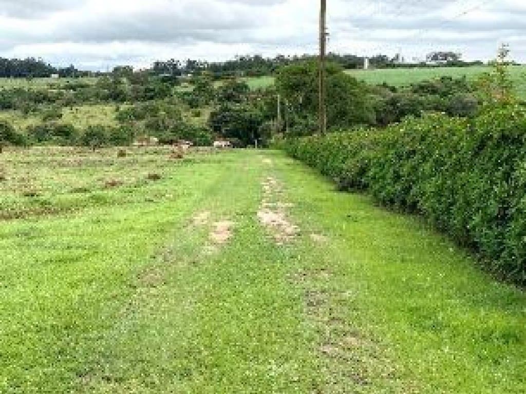 Foto 4 de 4: Area Rural em leilão em Indaiatuba - SP, bairro Helvétia — Área Rural de 56.350 m² - Próx. à Rod. Santos Dumont - Helvétia - Indaiatuba - SP