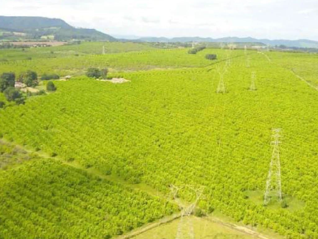 Foto 6 de 7: Area Rural em leilão em Cabreúva - SP — Direitos sobre Imóvel Rural 36 ha - Potencial Incorporação Residencial e/ou Industrial - Cabreúva - SP