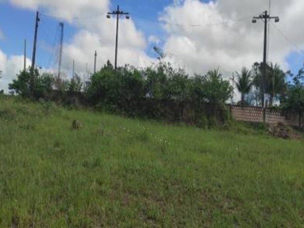 Foto 6 de 7: Terreno em leilão em Eunápolis - BA, bairro Adolfo Xavier — Área com 4.386 m² - Adolfo Xavier - Eunápolis - BA
