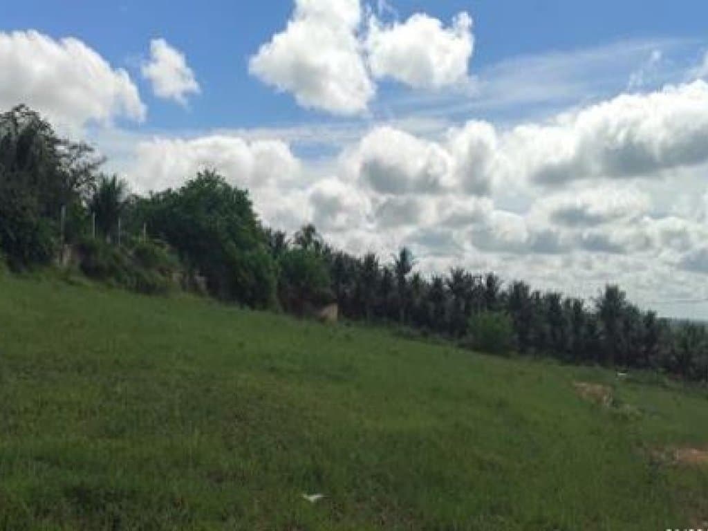 Foto 4 de 7: Terreno em leilão em Eunápolis - BA, bairro Adolfo Xavier — Área com 4.386 m² - Adolfo Xavier - Eunápolis - BA