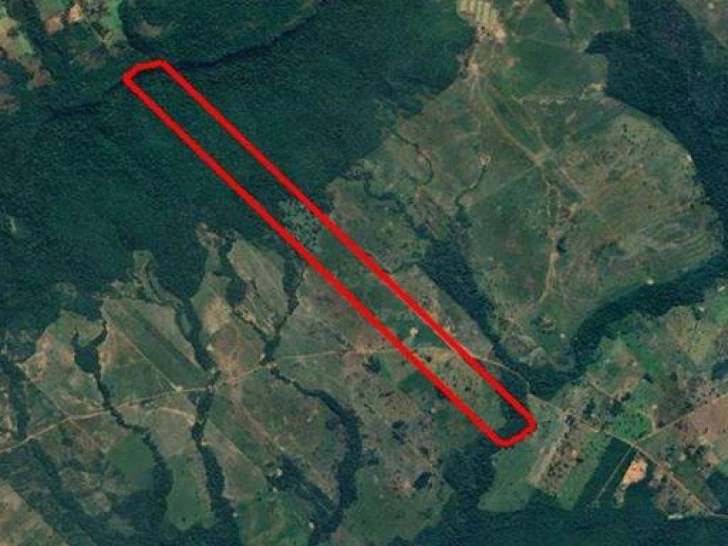 Foto 5 de 5: Area Rural em leilão em Denise - MT — Imóvel 01: Área Rural 28 ha - Denise-MT - Fazenda Nossa Senhora das Graças e Imóvel 02: Área Rural 112 ha - Denise-MT - Nossa Senhora das Graças