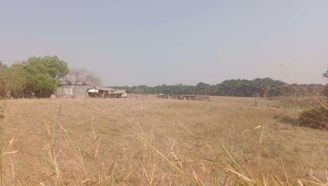Foto 1 de 5: Area Rural em leilão em Denise - MT — Imóvel 01: Área Rural 28 ha - Denise-MT - Fazenda Nossa Senhora das Graças e Imóvel 02: Área Rural 112 ha - Denise-MT - Nossa Senhora das Graças