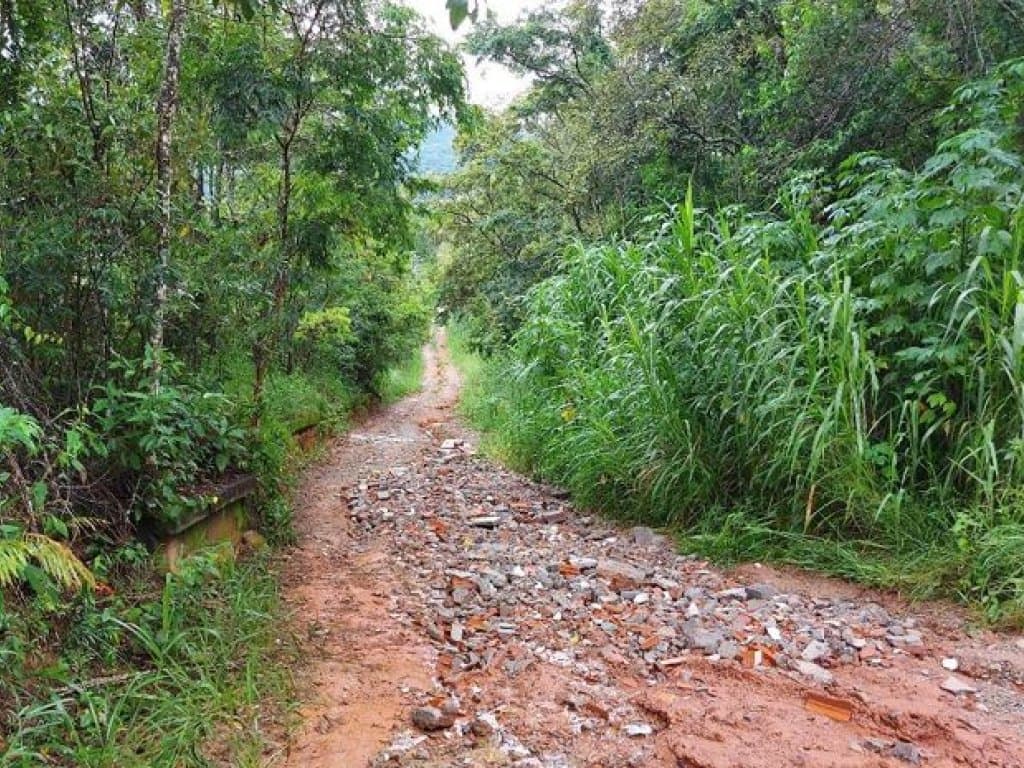 Foto 5 de 5: Terreno em leilão em Mairiporã - SP — Área de 1.622 m² - Condomínio Sausalito - Mairiporã - SP