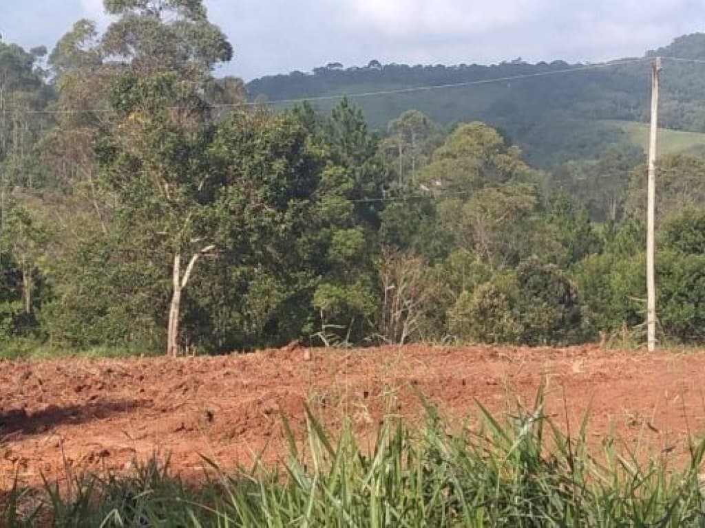 Foto 6 de 6: Terreno em leilão em Cotia - SP, bairro Cachoeira — Área com 1.592 m² - Cachoeira - Cotia - SP