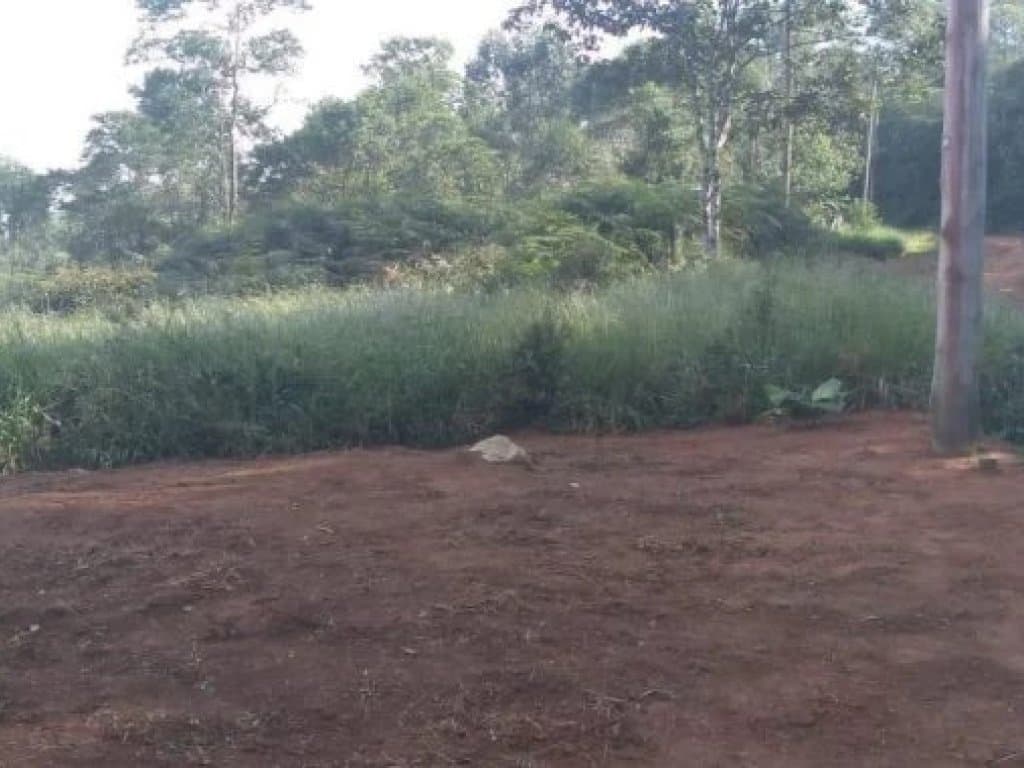 Foto 5 de 6: Terreno em leilão em Cotia - SP, bairro Cachoeira — Área com 1.592 m² - Cachoeira - Cotia - SP