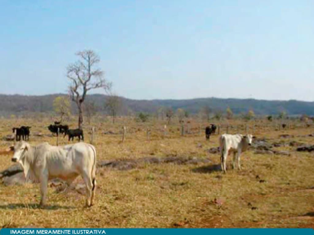 Foto 12 de 13: Area Rural em leilão em Bonito - MS — Imóvel Rural com 5.494 ha (Fazenda Formoso) - Bonito - MS