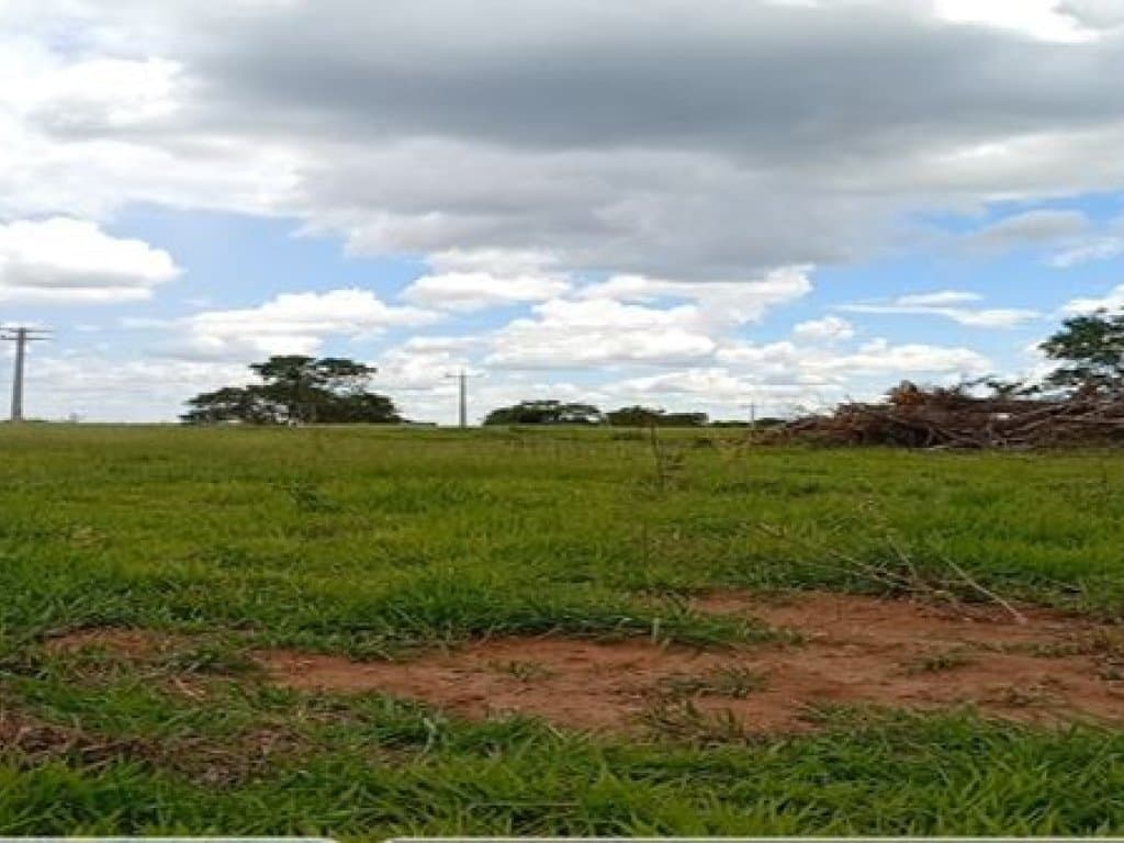 Foto 4 de 4: Area Rural em leilão em Bandeirantes - MS — Área Rural 20 ha - Bandeirantes-MS - Chácara Boa Vista - Gleba 2-B - Zona Rural