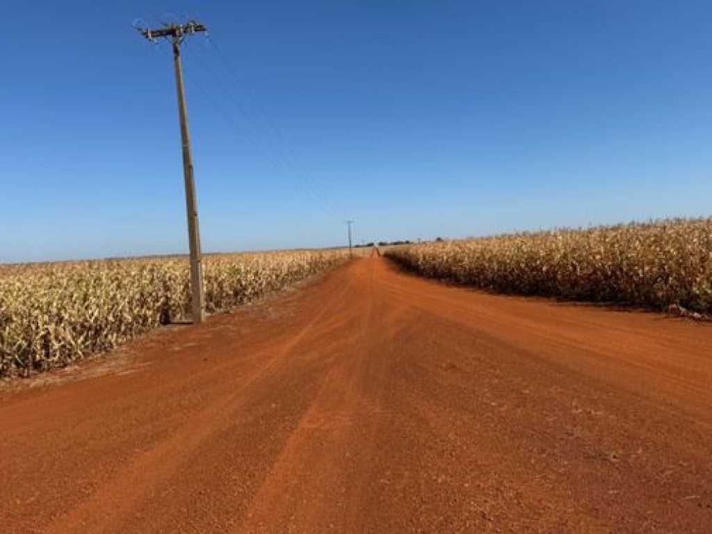Foto 5 de 6: Area Rural em leilão em Sidrolândia - MS — Área Rural com 20 ha (Fazenda Ducampo) - Sidrolândia - MS