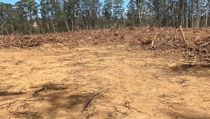 Foto 1 de 9: Area Rural em leilão em Angatuba - SP — Parte Ideal (20%) de Imóvel Rural 246 ha (Fazenda da Represa) - Santo Inácio - Angatuba - SP