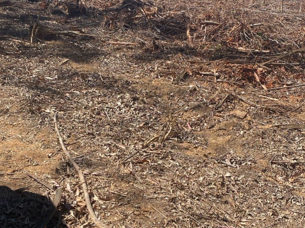 Foto 6 de 9: Area Rural em leilão em Angatuba - SP — Parte Ideal (20%) de Imóvel Rural 246 ha (Fazenda da Represa) - Santo Inácio - Angatuba - SP