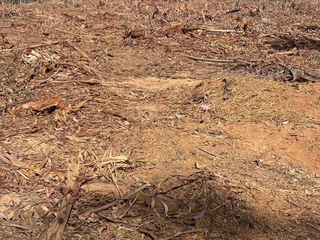 Foto 2 de 9: Area Rural em leilão em Angatuba - SP — Parte Ideal (20%) de Imóvel Rural 246 ha (Fazenda da Represa) - Santo Inácio - Angatuba - SP