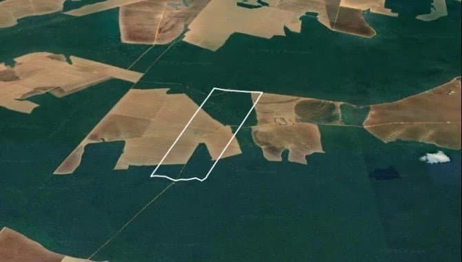 Foto 2 de 3: Area Rural em leilão em Nova Maringá - MT — Imóvel Rural 568 ha (Fazenda Primavera VII) - Nova Maringá - MT