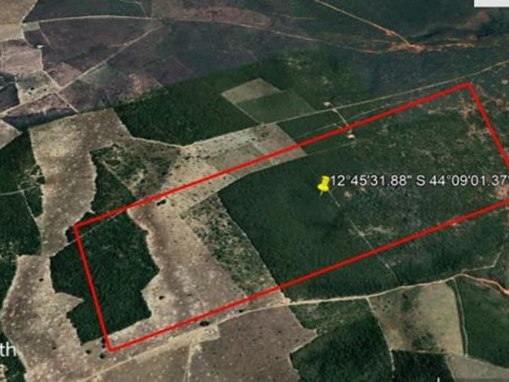 Foto 2 de 3: Area Rural em leilão em Serra Dourada - BA — Área Rural 100 ha - Serra Dourada-BA - Fazenda São Joaquim - Seta Branca