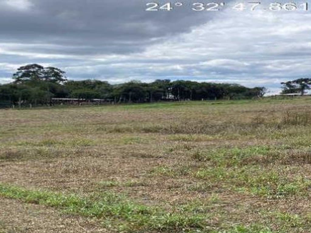 Foto 3 de 3: Area Rural em leilão em Tibagi - PR — Área Rural 4 ha - Tibagi-PR - Gleba Barreiro - Parte A - Zona Rural