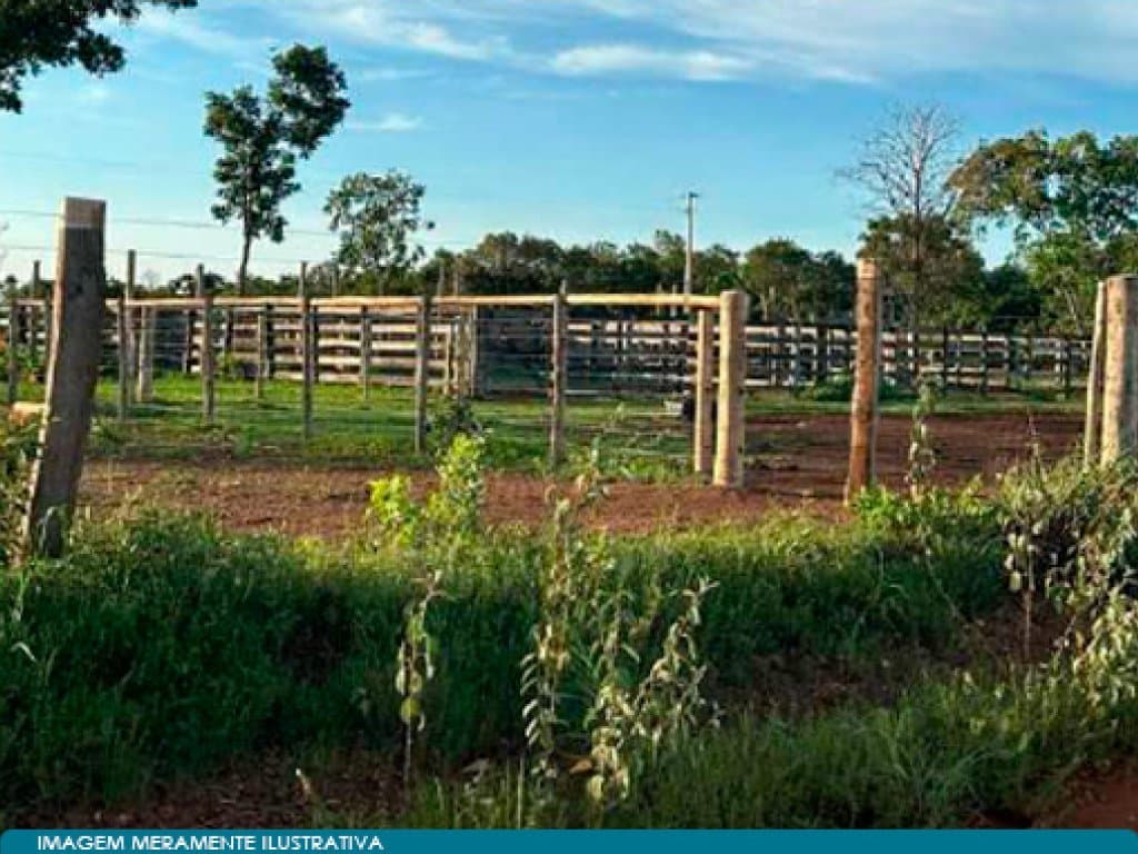 Foto 3 de 3: Area Rural em leilão em Peixe - TO — Imóvel Rural 303 ha (Fazenda com Área de Pasto e Curral) - Zona Rural - Peixe - TO