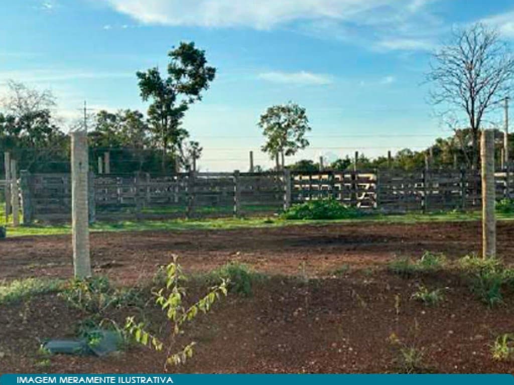 Foto 2 de 3: Area Rural em leilão em Peixe - TO — Imóvel Rural 303 ha (Fazenda com Área de Pasto e Curral) - Zona Rural - Peixe - TO