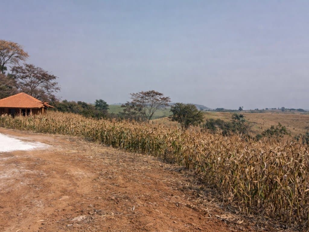 Foto 4 de 5: Area Rural em leilão em Pinhalão - PR — Imóvel Rural com 13,31 ha - Fazenda Ribeirão Grande - Pinhalão - PR