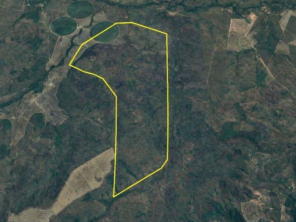 Foto 2 de 2: Area Rural em leilão em São Félix De Balsas - MA — Área Rural 1.246 ha - São Félix de Balsas-MA - Fazenda Chapada da Cobra/001 - Zona Rural