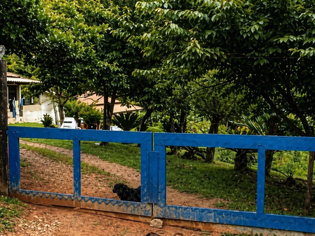 Foto 2 de 5: Casa em leilão em São Roque - SP, bairro Caete (mailasqui) — Casas em Área de 3.011 m² - Mailasqui - São Roque - SP