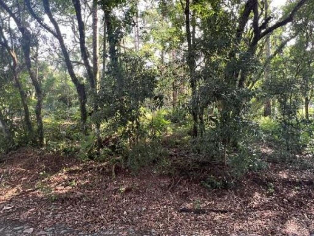Foto 2 de 2: Terreno em leilão em Prudentópolis - PR — Terreno 1.136 m² - Prudentópolis-PR - Rua Marginal do Rio Caxim - Lt. 14 da Qd. Única - Lubina Tarasczuk
