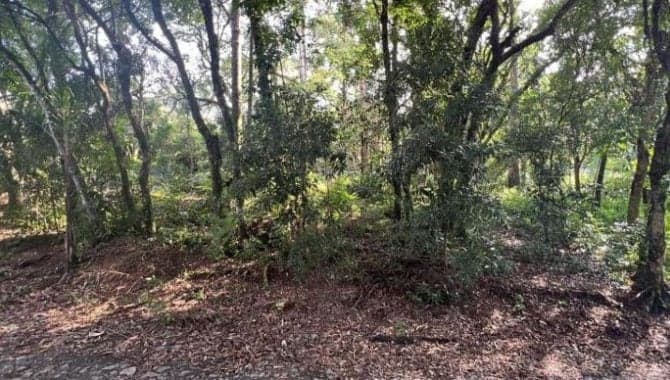 Foto 1 de 2: Terreno em leilão em Prudentópolis - PR — Terreno 1.136 m² - Prudentópolis-PR - Rua Marginal do Rio Caxim - Lt. 14 da Qd. Única - Lubina Tarasczuk