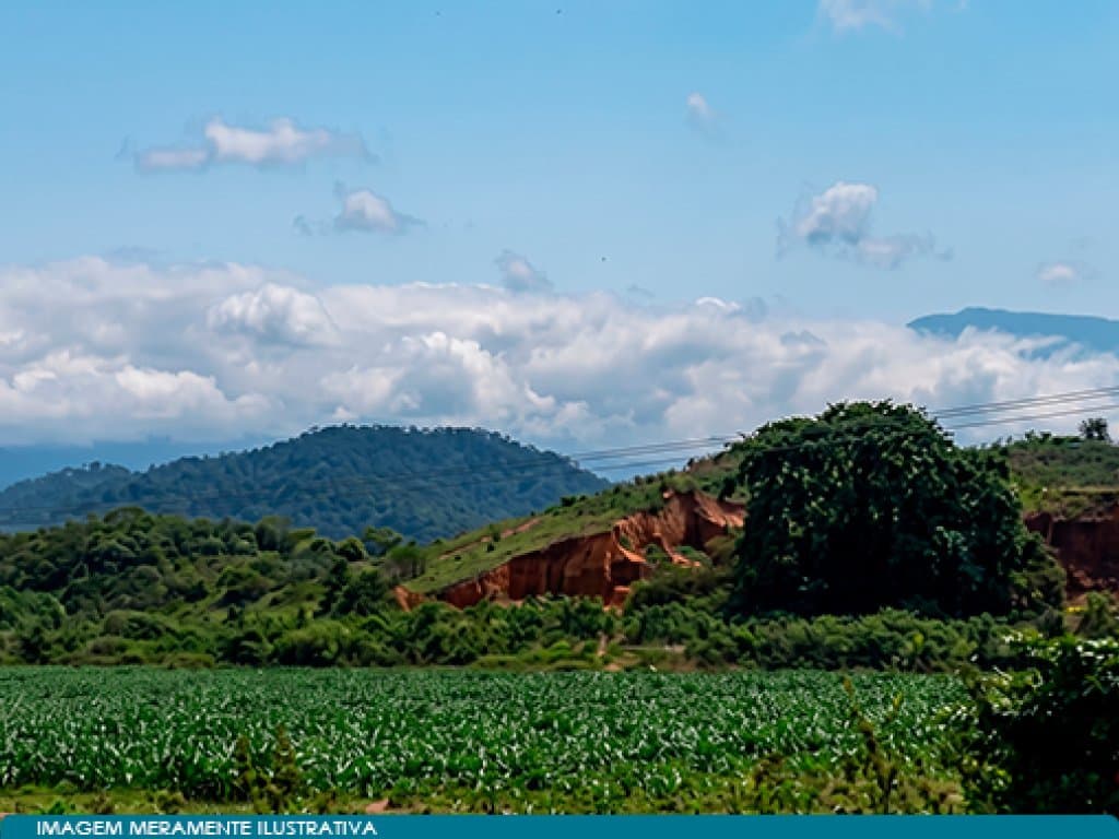 Foto 6 de 7: Area Rural em leilão em Magé - RJ — Área 120.056 m² (Sítio Roncador) - Barbuda - Magé - RJ