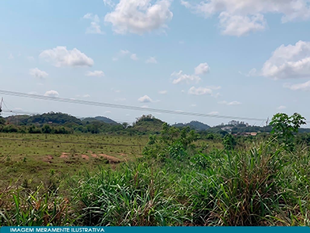 Foto 5 de 7: Area Rural em leilão em Magé - RJ — Área 120.056 m² (Sítio Roncador) - Barbuda - Magé - RJ