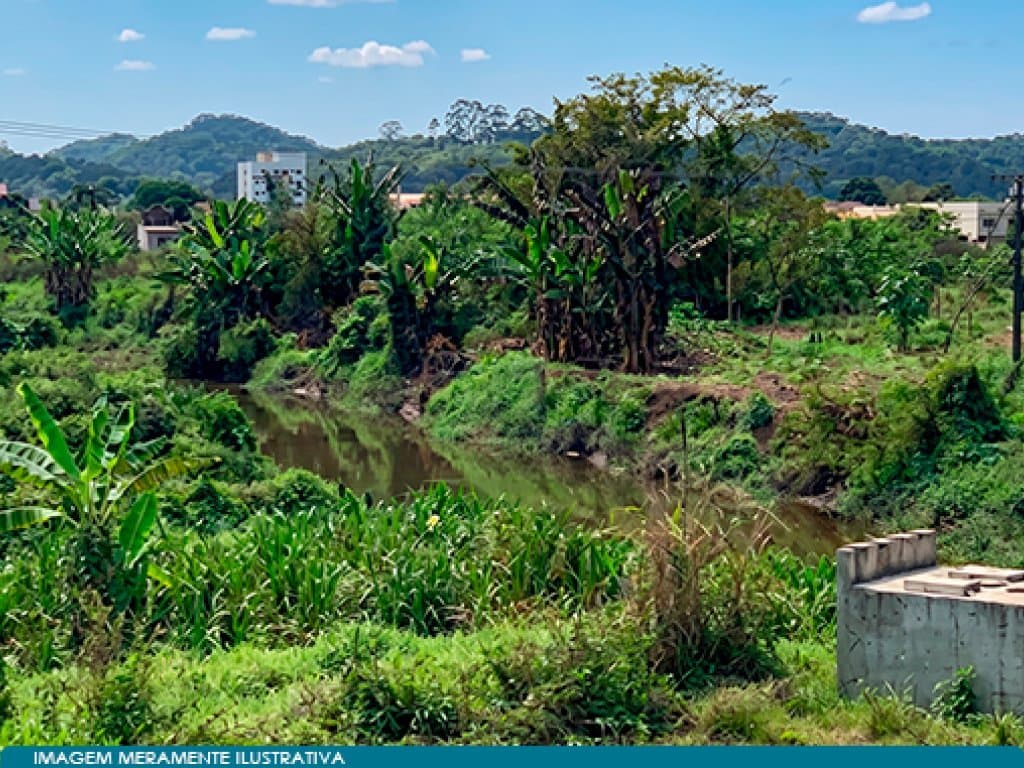 Foto 4 de 7: Area Rural em leilão em Magé - RJ — Área 120.056 m² (Sítio Roncador) - Barbuda - Magé - RJ