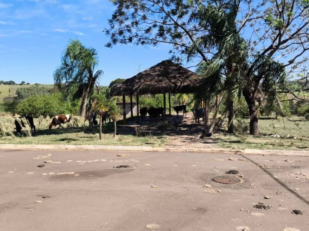 Foto 7 de 18: Terreno em leilão em Pérola - PR — Terreno 501 m² (Lt. 06 da Qd. 05) - Parque Residencial Viva - Pérola - PR