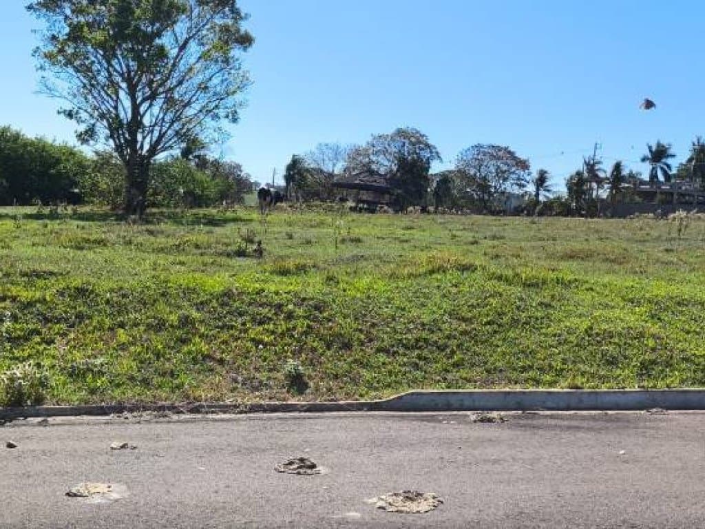 Foto 12 de 18: Terreno em leilão em Pérola - PR — Terreno 501 m² (Lt. 06 da Qd. 05) - Parque Residencial Viva - Pérola - PR