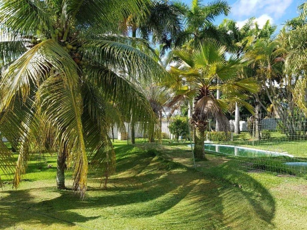 Foto 3 de 25: Casa em leilão em Nísia Floresta - RN, bairro Espaço Sul — Casa 263 m² - Espaço Sul - Nísia Floresta - RN