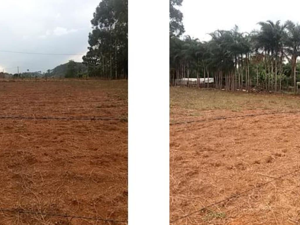 Foto 4 de 6: Terreno em leilão em Alexânia - GO, bairro Setor Nordeste — Terrenos 797 m² - Setor Nordeste - Alexânia - GO