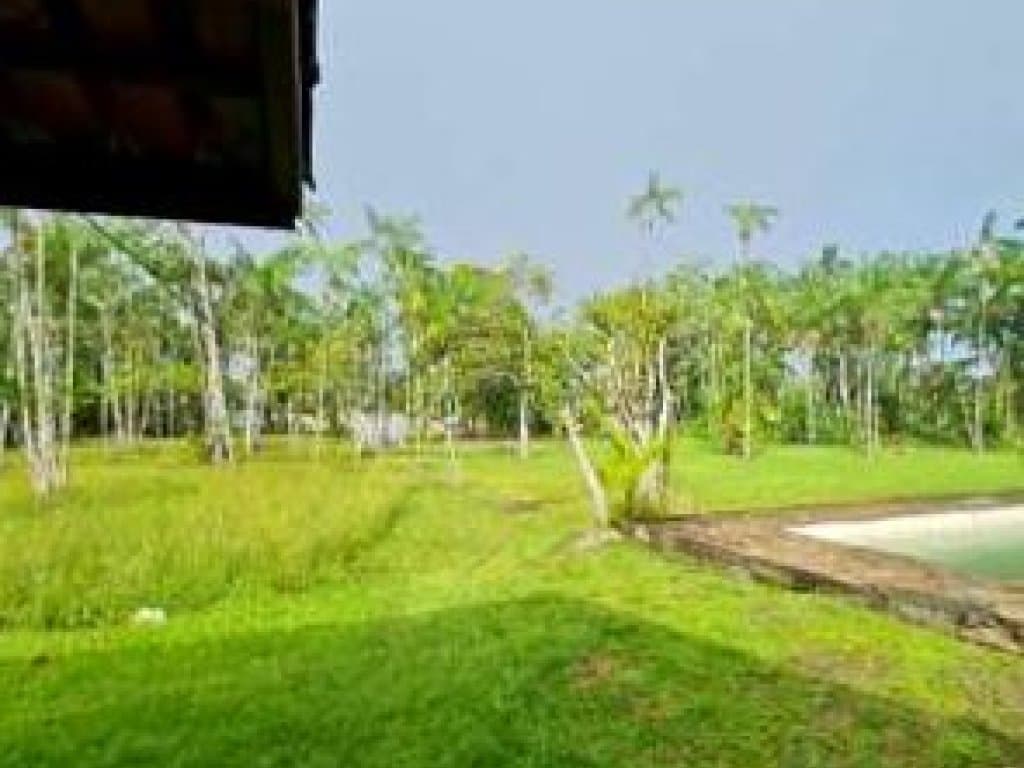 Foto 5 de 9: Terreno em leilão em Marituba - PA, bairro Centro — Área com 1,88 ha (com construções) - Centro - Marituba - PA