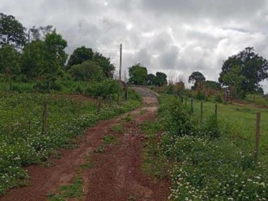 Foto 2 de 4: Area Rural em leilão em Aruanã - GO — Área Rural 27 ha - Aruanã-GO - Chácara Marambaia - Zona Rural