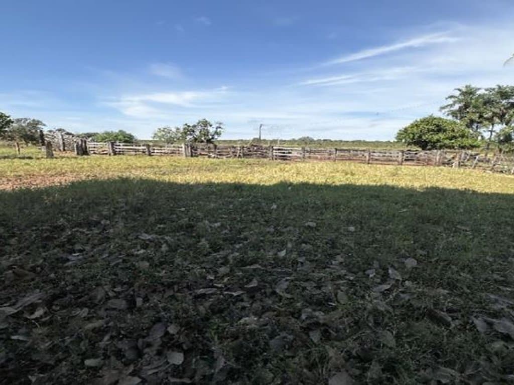Foto 9 de 14: Area Rural em leilão em Barra Do Garças - MT — Área Rural 360 ha - Barra do Garças-MT - Rodovia Federal BR-070, Km 25 - Zona Rural