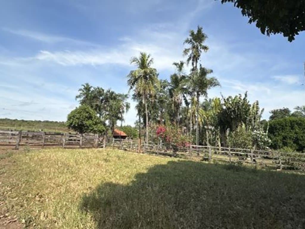 Foto 12 de 14: Area Rural em leilão em Barra Do Garças - MT — Área Rural 360 ha - Barra do Garças-MT - Rodovia Federal BR-070, Km 25 - Zona Rural
