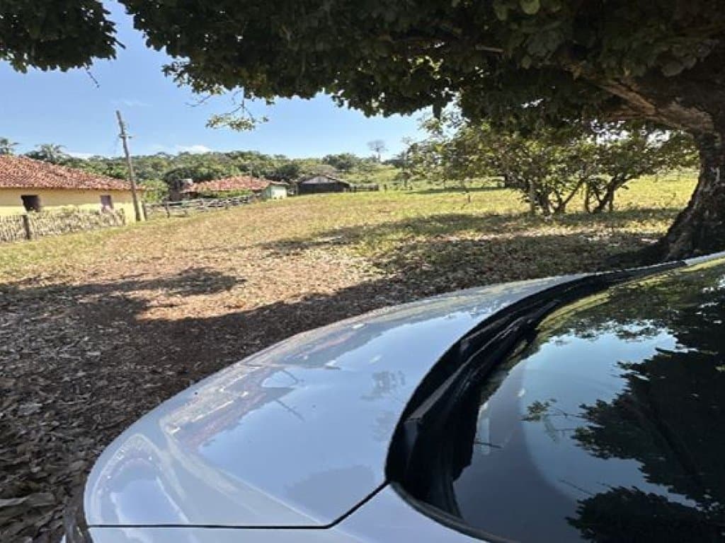 Foto 11 de 14: Area Rural em leilão em Barra Do Garças - MT — Área Rural 360 ha - Barra do Garças-MT - Rodovia Federal BR-070, Km 25 - Zona Rural