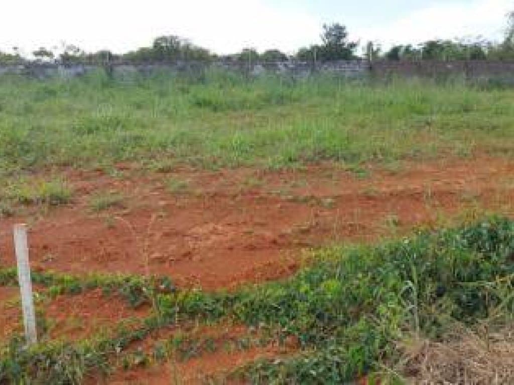 Foto 2 de 11: Terreno em leilão em Sinop - MT, bairro Eunice — Terreno em Condomínio 657 m² (Lt. 16 da Qd. 20) - Eunice - Sinop - MT
