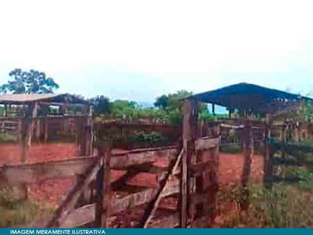 Foto 6 de 6: Area Rural em leilão em Flores De Goiás - GO — Imóvel Rural com Área de 256 ha (Fazenda Impoeira) - Flores de Goiás - GO