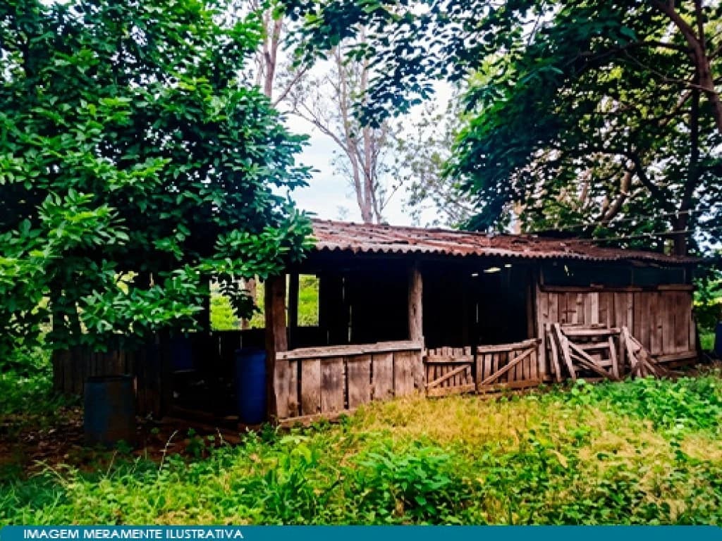 Foto 3 de 6: Area Rural em leilão em Flores De Goiás - GO — Imóvel Rural com Área de 256 ha (Fazenda Impoeira) - Flores de Goiás - GO