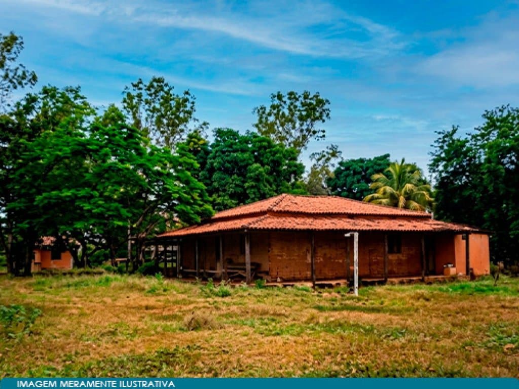 Foto 4 de 6: Area Rural em leilão em Flores De Goiás - GO — Imóvel Rural com Área de 256 ha (Fazenda Impoeira) - Flores de Goiás - GO