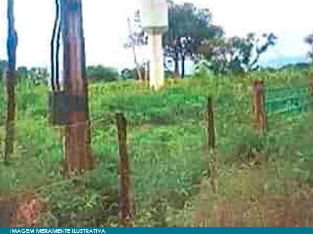 Foto 5 de 6: Area Rural em leilão em Flores De Goiás - GO — Imóvel Rural com Área de 256 ha (Fazenda Impoeira) - Flores de Goiás - GO