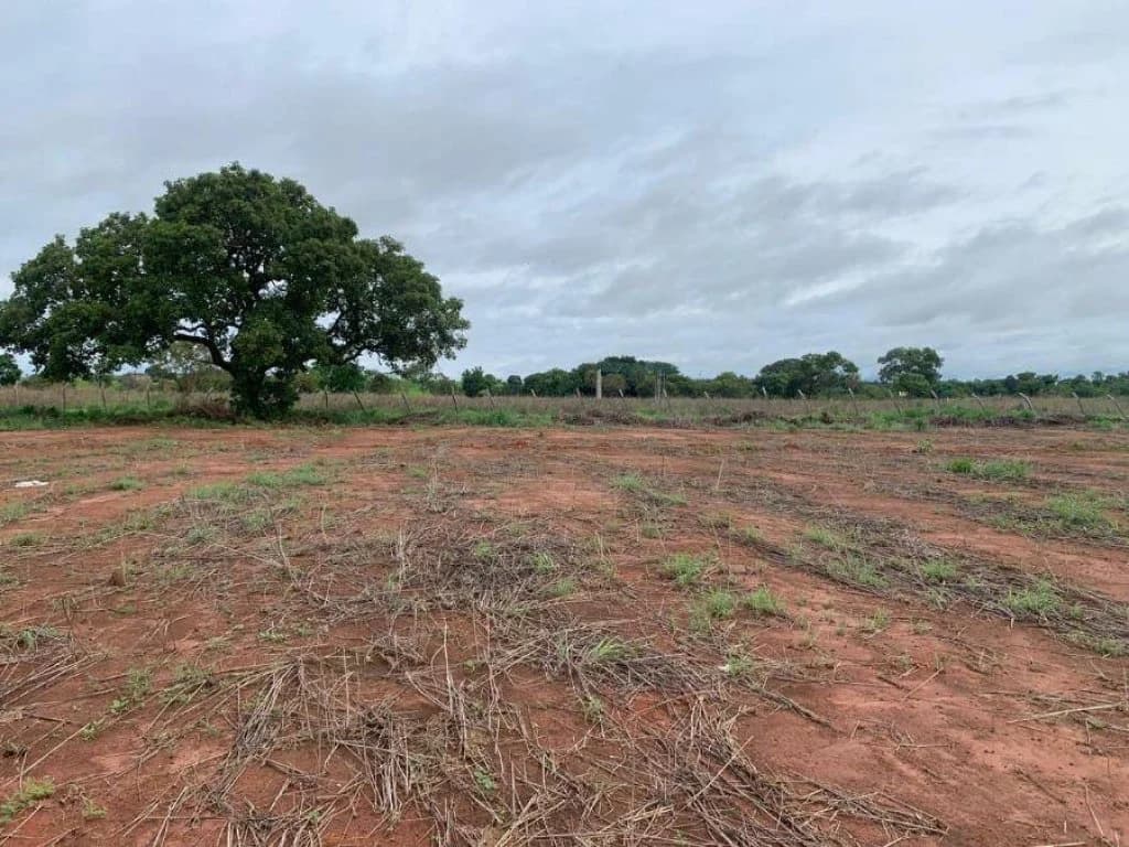 Foto 22 de 22: Terreno em leilão em Porto Nacional - TO, bairro Jardim América — Área com 3.040 m² - Jardim América - Porto Nacional - TO